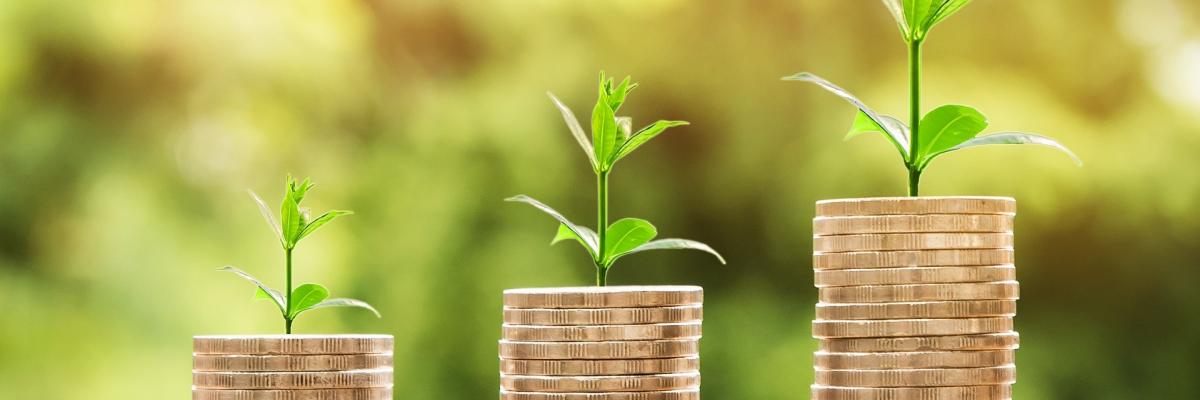 Webinar slim omgaan met energie en geld besparen