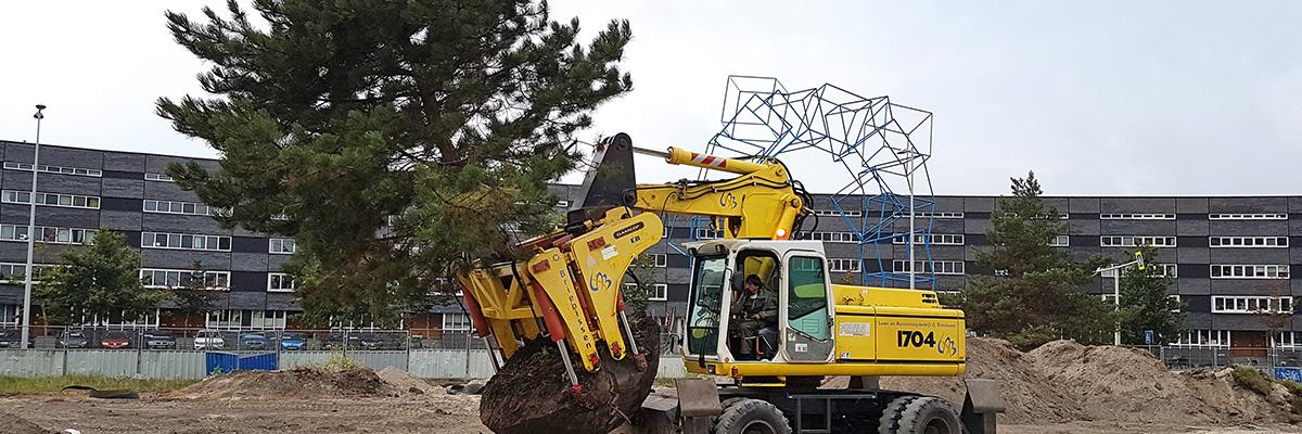 groenvoorziening, boom, 2023