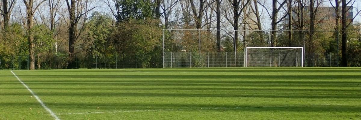 sportveld