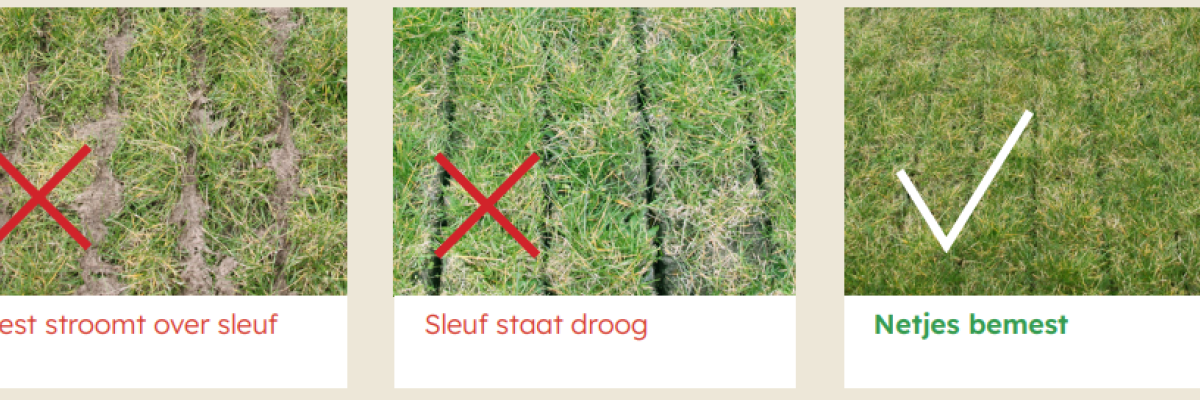 bemest op zij best, sleufjes met mest, goed, fout