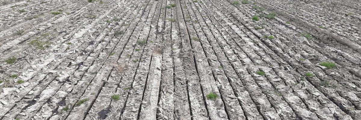 voorbeeld wel goed