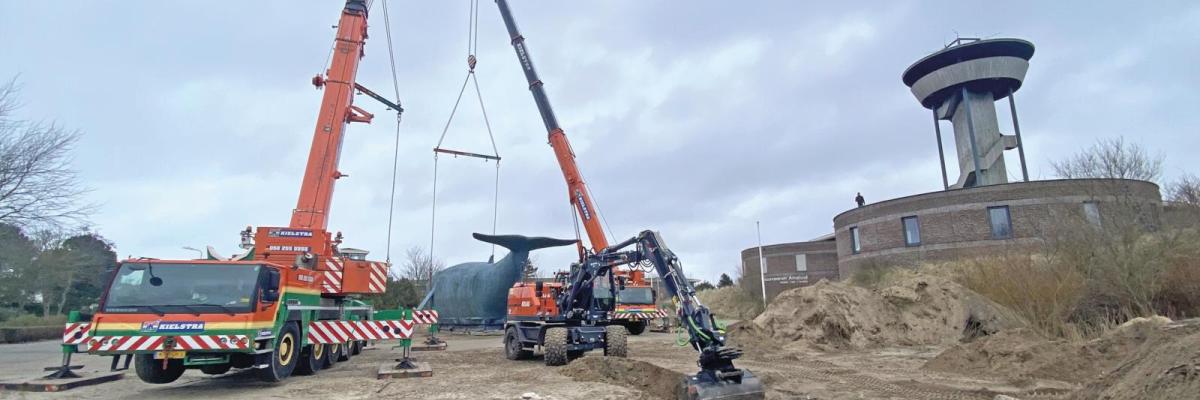 zwarte vinvis