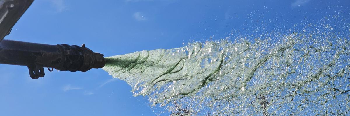 hydroseeding