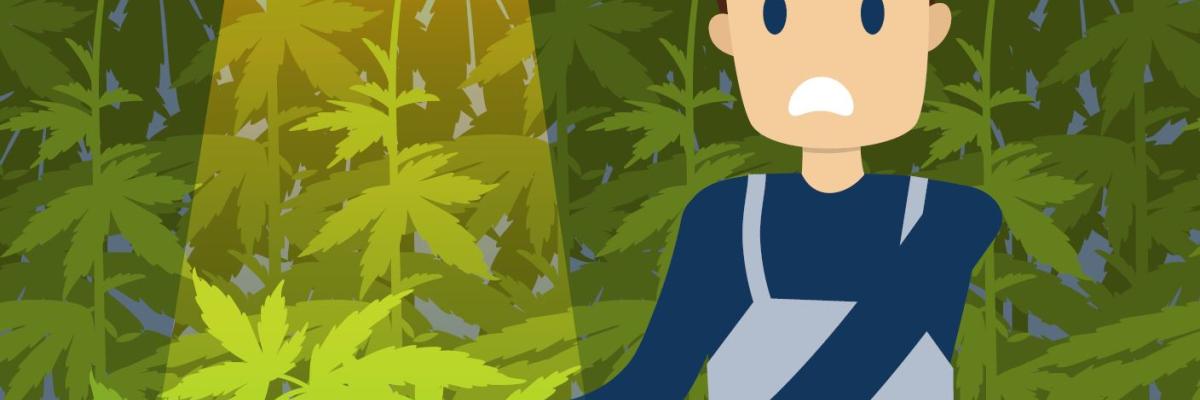 Vertrouwenspersoon Criminaliteit 
