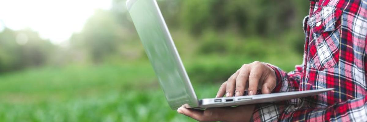 laptop in het veld
