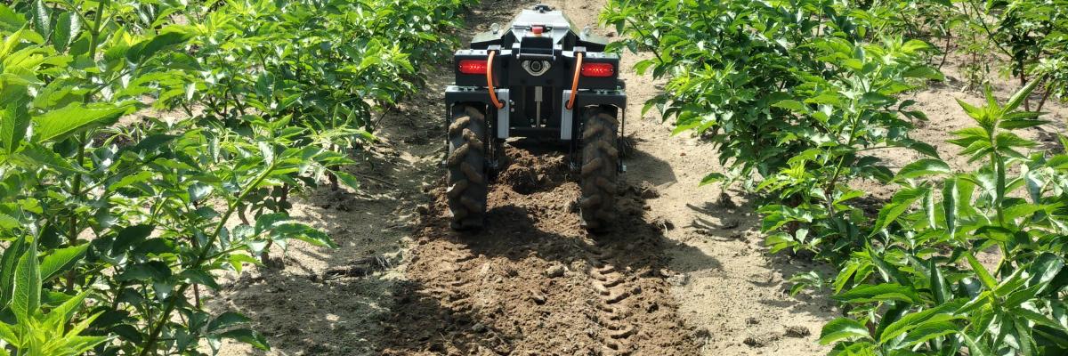 Algro robot