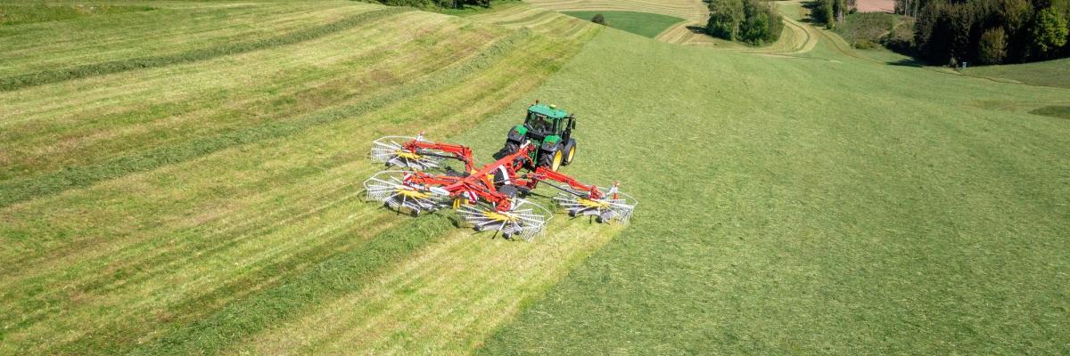 pottinger opening .jpg