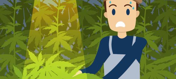 Vertrouwenspersoon Criminaliteit 