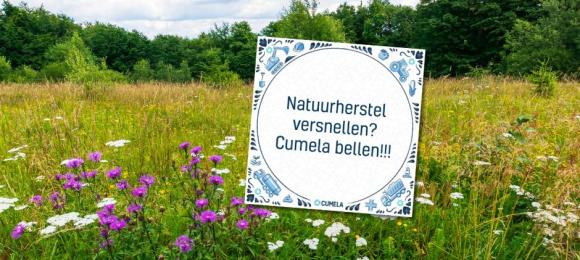 natuurherstel tegel