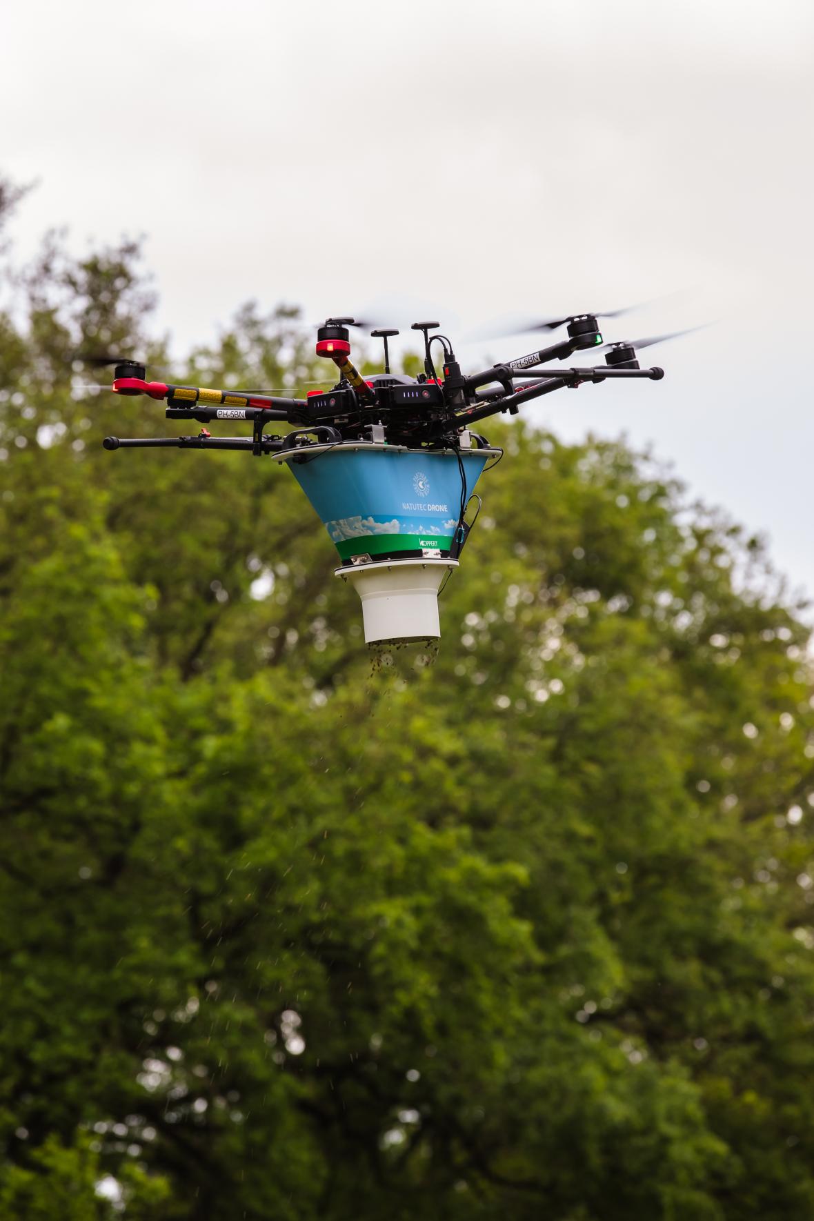 Eikenprocessierups bestrijden met drone