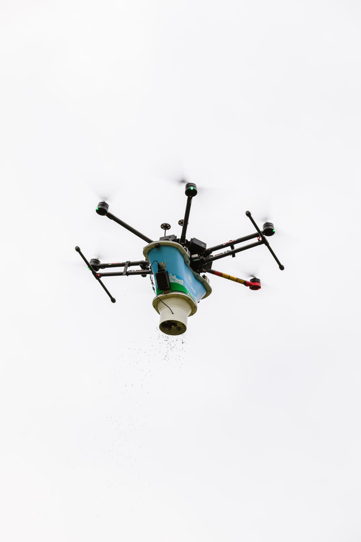 Eikenprocessierups bestrijden met drone