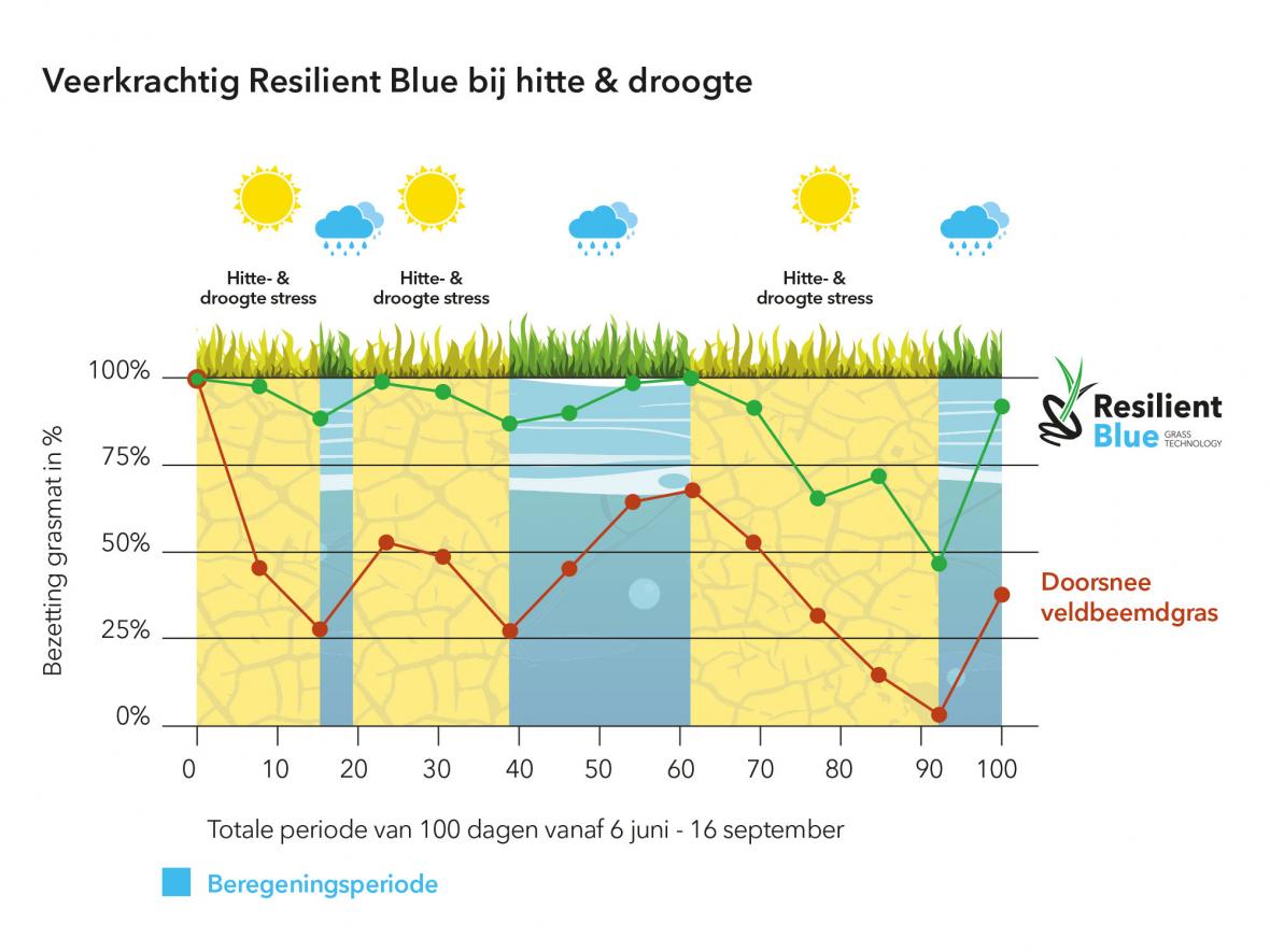 barenbrug Resilent Blue grafiek droogtetolerantie 