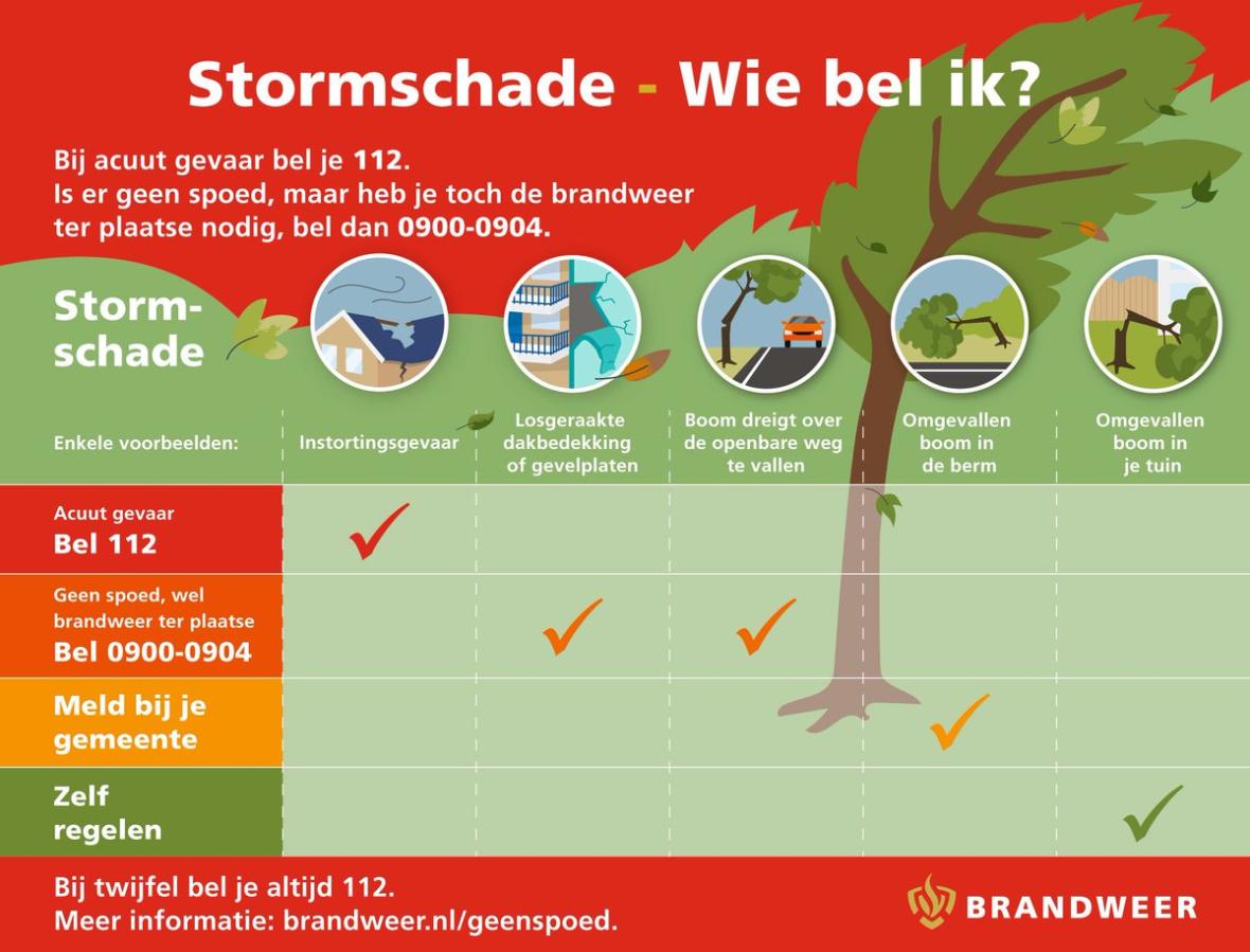 Infographic stormschade