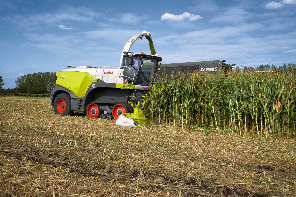claas jaguar terratrac in de mais