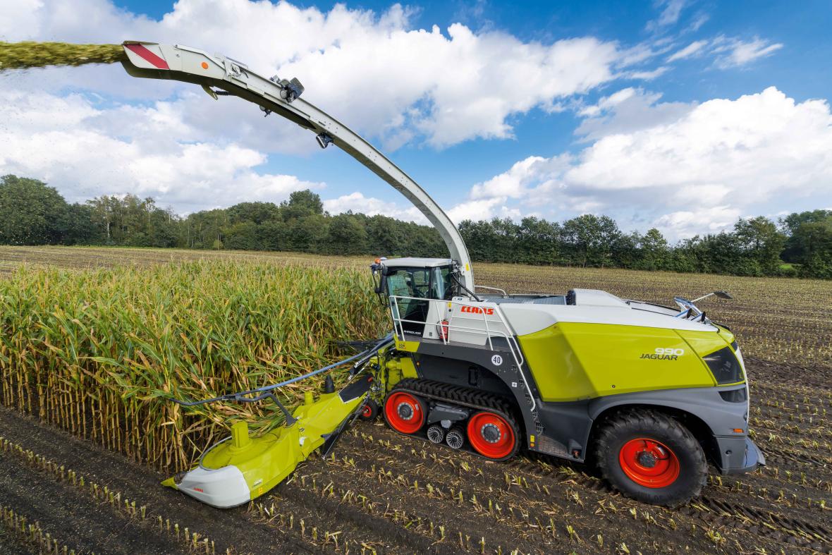 Claas Jaguar terratrac in de mais