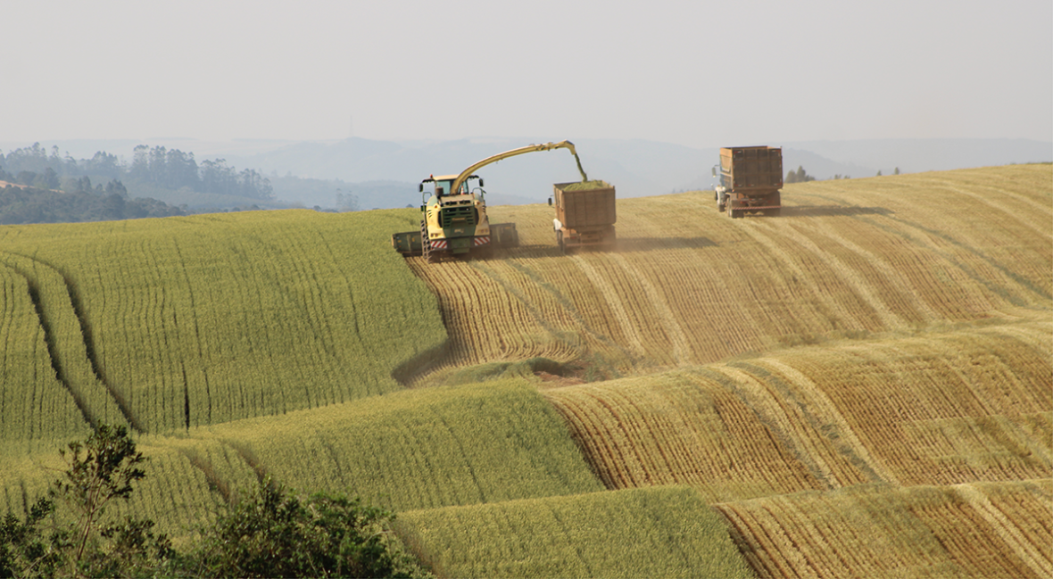 krone actiefoto brazilie 