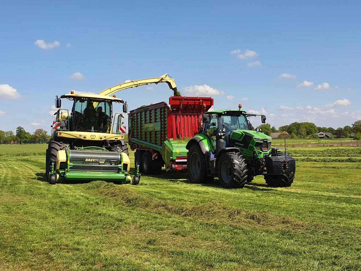 krone grashakselen 