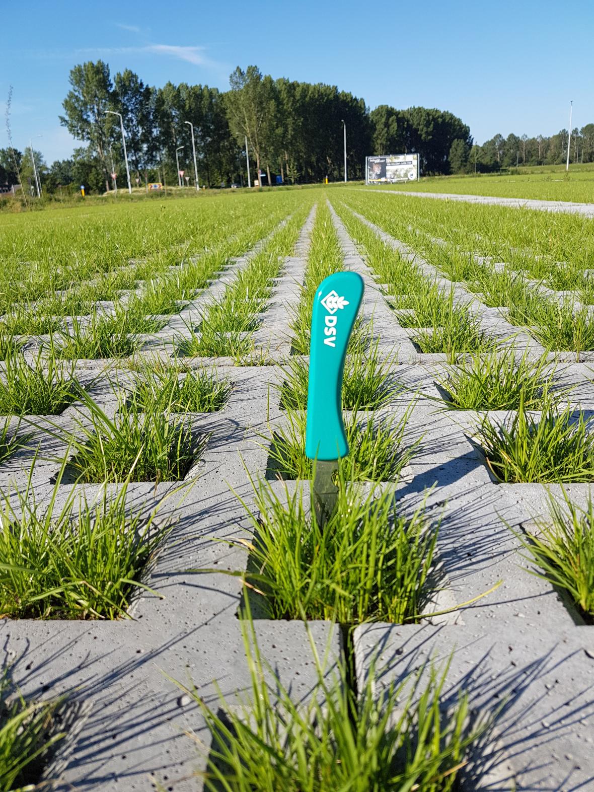 duurzaam grasdag