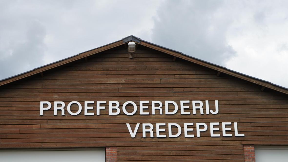 Vredepeel