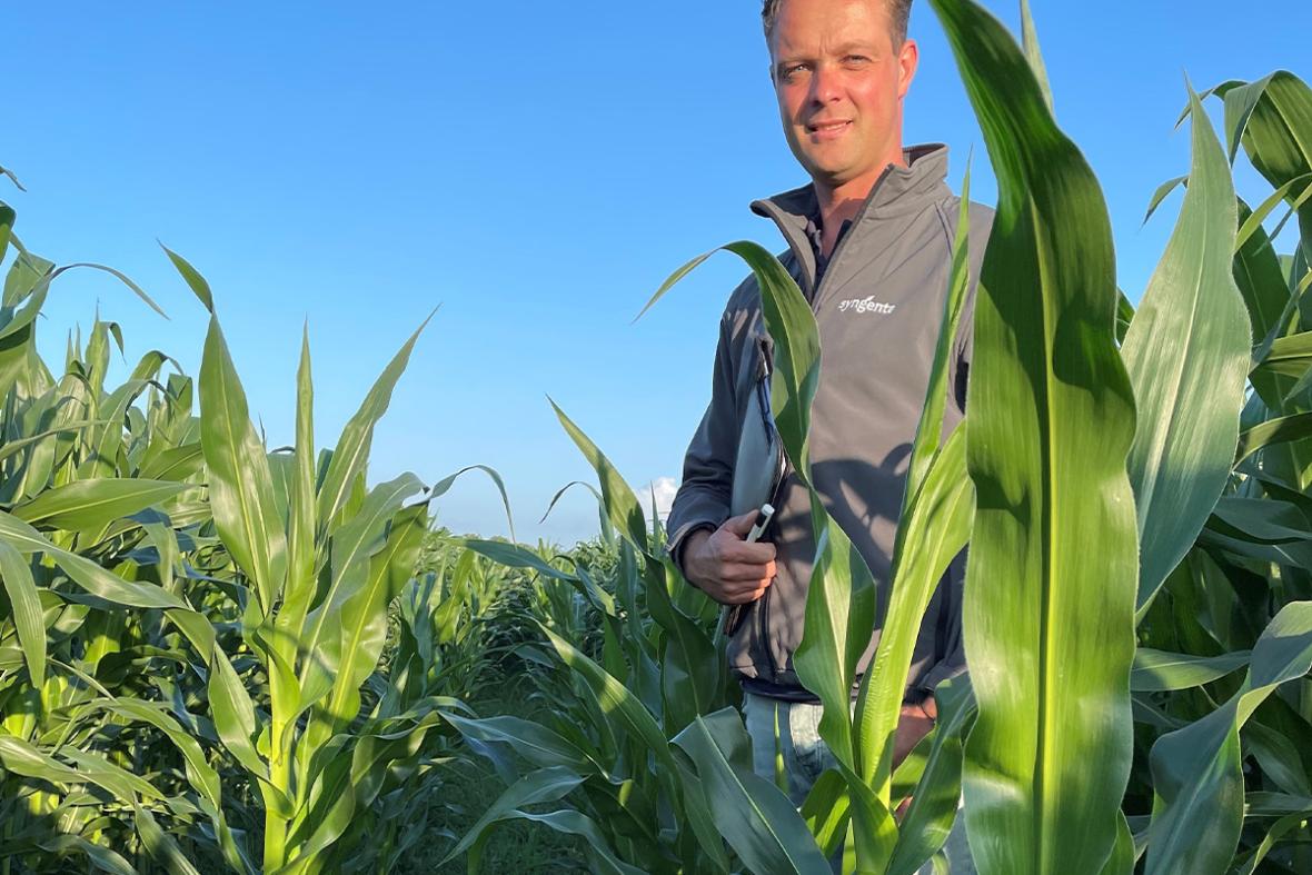 Grondig_ritnaaldenproef_1_Arjan Ottens_Syngenta