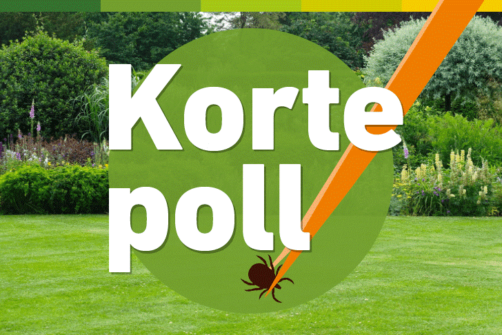 Stigas korte poll