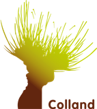 Colland klein