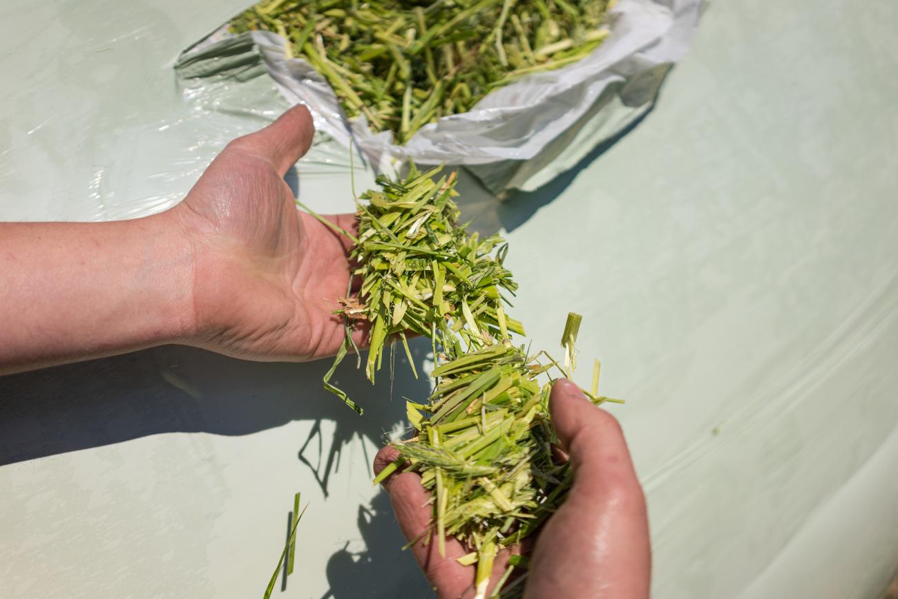 silagekwaliteit Pottinger Impress met foliebinding