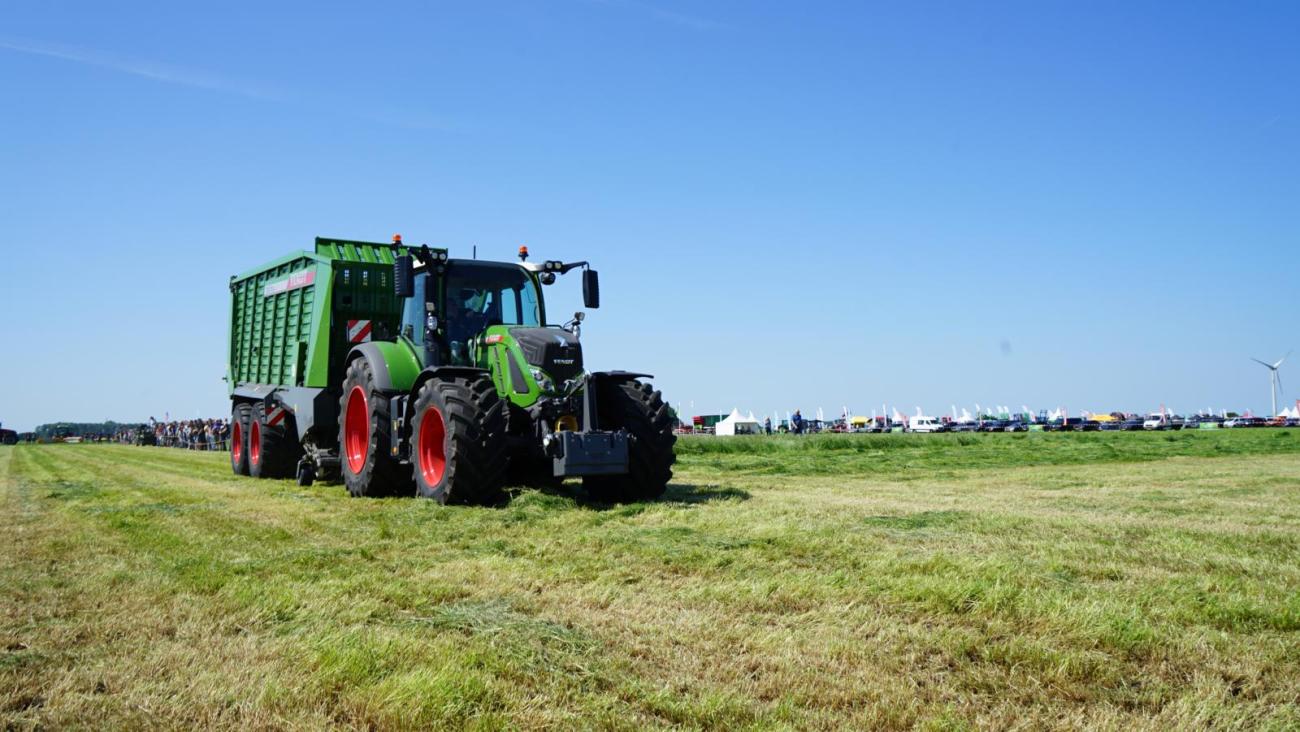 Mechangroep grasdag