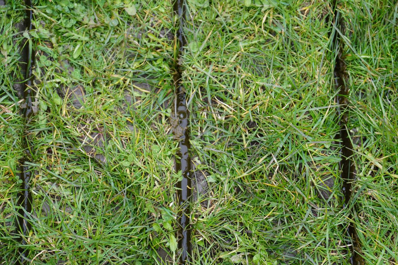 vredo zodenbemesten 