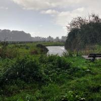 landschap