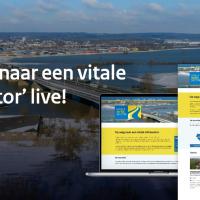 vitale infrasector