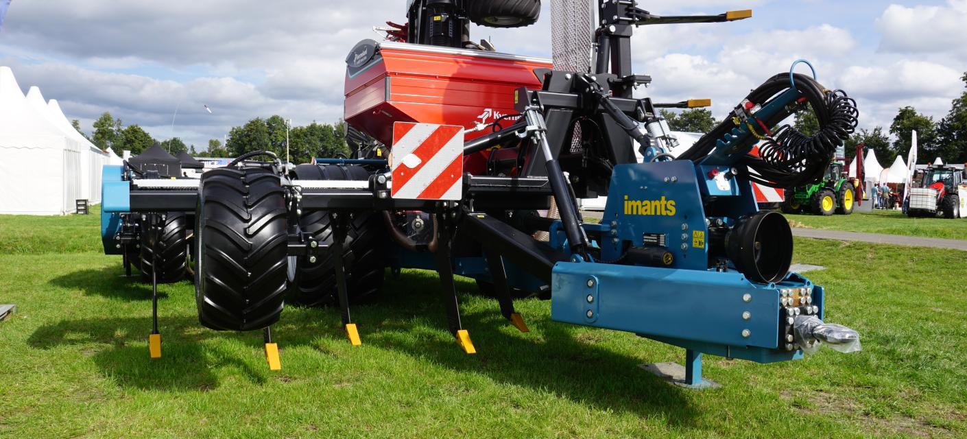 imants