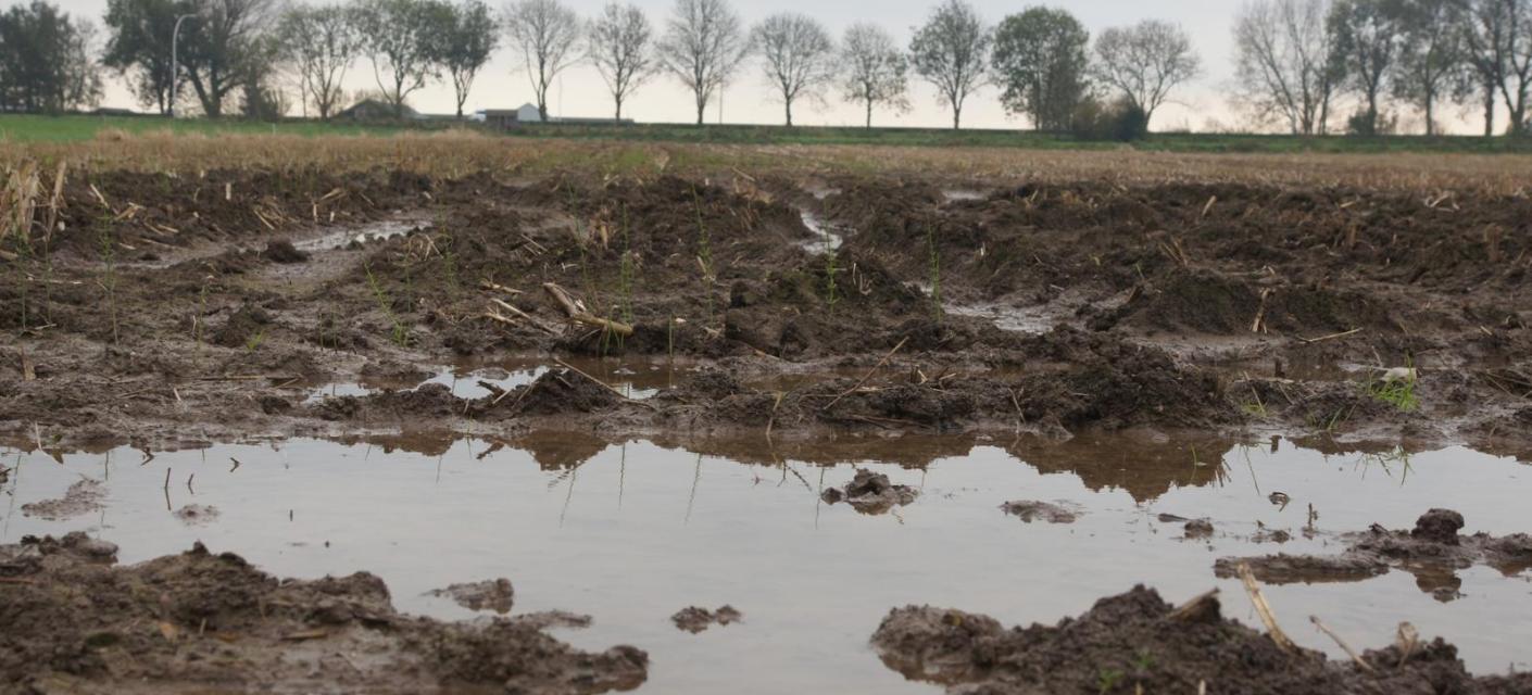 wateroverlast