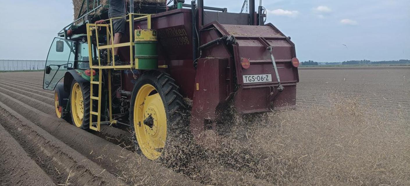 Job_Rikken__strodekken