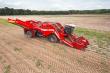 Grimme ventor aardappelrooier