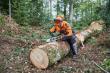 Stihl kettingzaag scherpen.