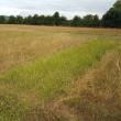 for farmers Topgrass hydro power 