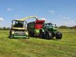 krone grashakselen 