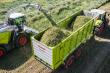 claas cargos silagewagen 