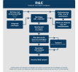 schema RIE