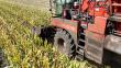 Alliance Agriflex VF band op zelfrijder
