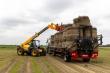 RECORD TRAILERS - Balenwagen (5