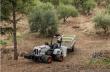 bobcat autonome trekker
