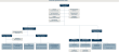 Organisatiestructuur 2024 - September